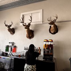 Tusculum Brewing