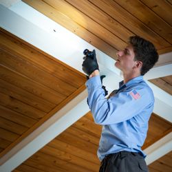 Brantley Termite & Pest Control - renewal inspection