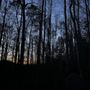 Photo of Cosby Creek Cabins