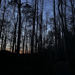 Cosby Creek Cabins - out back at sunset