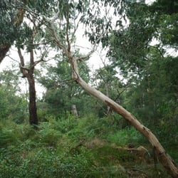 Lakewood Nature Reserve
