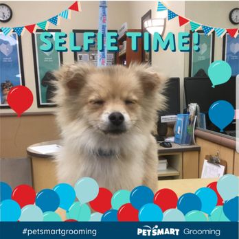 PetSmart - Pet Stores Near Me - Ontario, California PetSmart - Pet Stores Near Me - Ontario, California