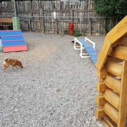 Greybull KOA - They have a playground for dogs!