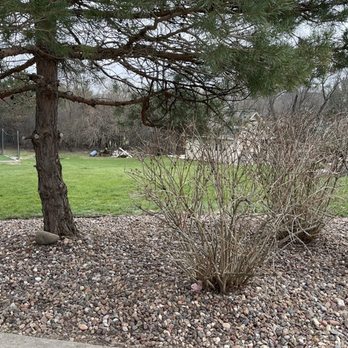 T&C Property Maintenance - Landscaping Near Me