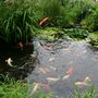 Photo of GEM Ponds