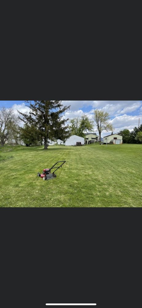 Jay Jay’s Lawn Care - tree service in Cedar Rapids, IA