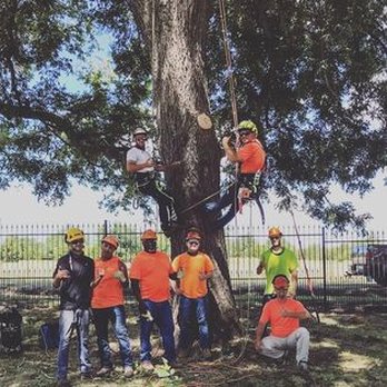 Timberjak - a group of men in orange shirts and safety gear standing in front of a tree - Tree Services Near Me - Sherman, Texas