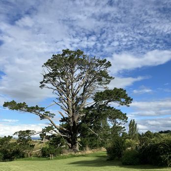 Hobbiton - Tours Near Me - Matamata, WKO Hobbiton - Tours Near Me - Matamata, WKO