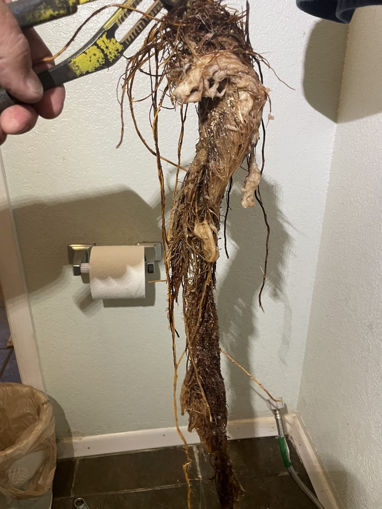 Slide of QPS Plumbing Services