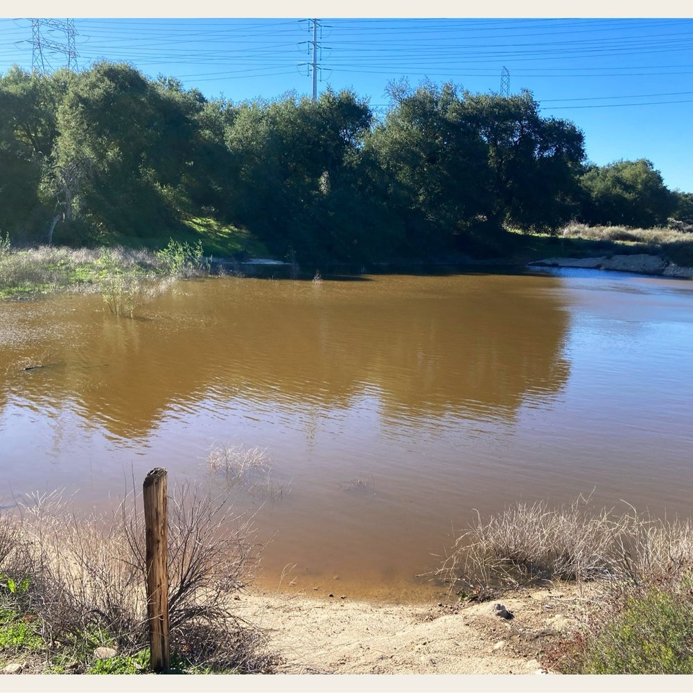 Elsmere Canyon - Pond Elsmere. :D Dive right in! Water is cold but nice. - Hiking Near Me - Santa Clarita, California