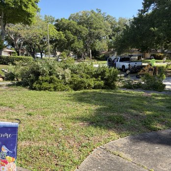DeForest Tree and Property Maintenance - Early stages of tree debris removal pile. - Landscaping Near Me DeForest Tree and Property Maintenance - Early stages of tree debris removal pile. - Landscaping Near Me