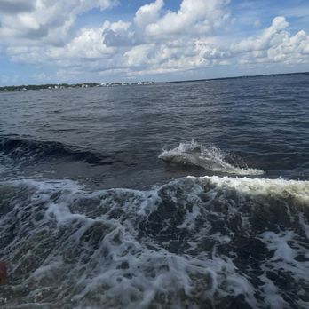 Southern Rose Dolphin Cruises - Boat Charters Near Me Southern Rose Dolphin Cruises - Boat Charters Near Me