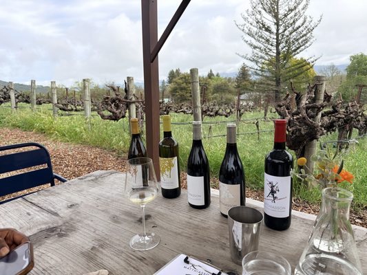 Matthiasson Winery by null Matthiasson Winery by null