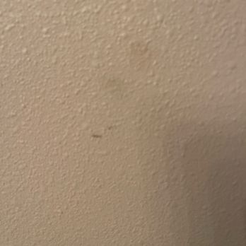 Laughlin River Lodge - Stains on the wall - Resorts Near Me - Laughlin, Nevada