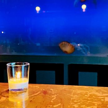 Lechon - Jelly fish tank - Tapas Bars Near Me - Portland, Oregon