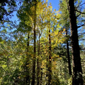 Gary Giacomini Open Space Preserve - Hiking Near Me - San Geronimo, California Gary Giacomini Open Space Preserve - Hiking Near Me - San Geronimo, California