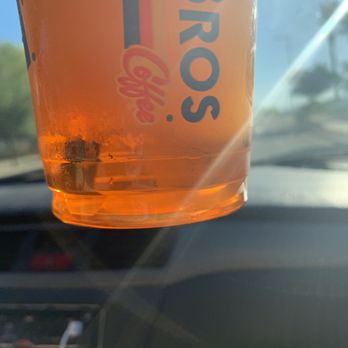 Dutch Bros Coffee - Perhaps an iced rebel - Coffee & Tea Near Me - Goodyear, Arizona Dutch Bros Coffee - Perhaps an iced rebel - Coffee & Tea Near Me - Goodyear, Arizona