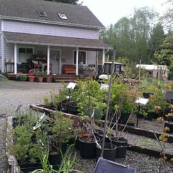 Woodbrook Nursery