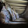 Donner Tunnels Trail