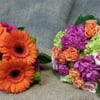 Edgewater Home and Garden gift card