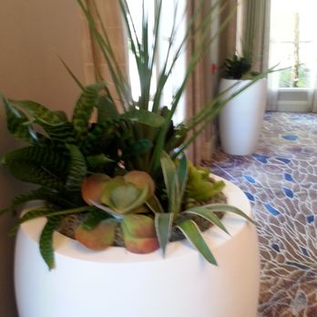 Expressions In Green - Indoor Landscaping Near Me Expressions In Green - Indoor Landscaping Near Me
