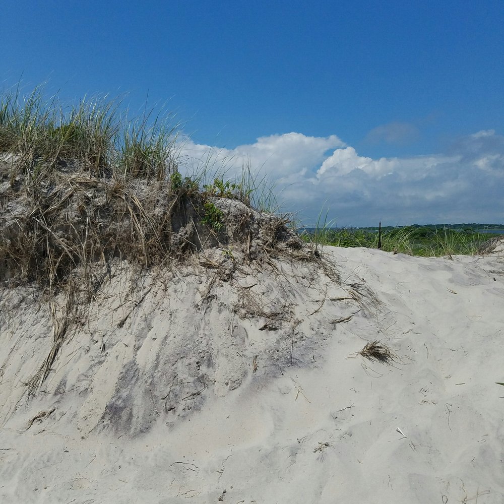 Smith Point Beach - Dunes - Beaches Near Me - Shirley, New York