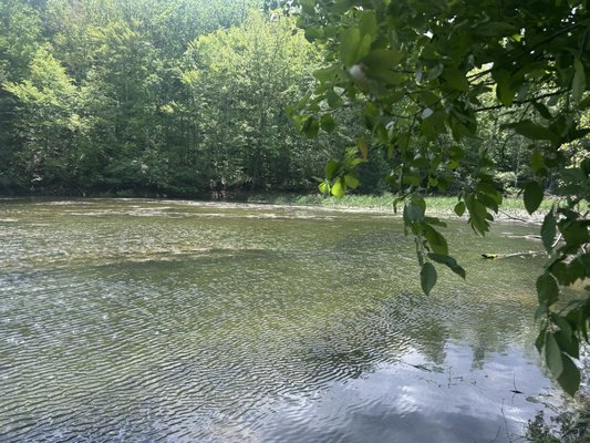 James River State Park by null