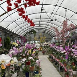 A Heavenly Garden
