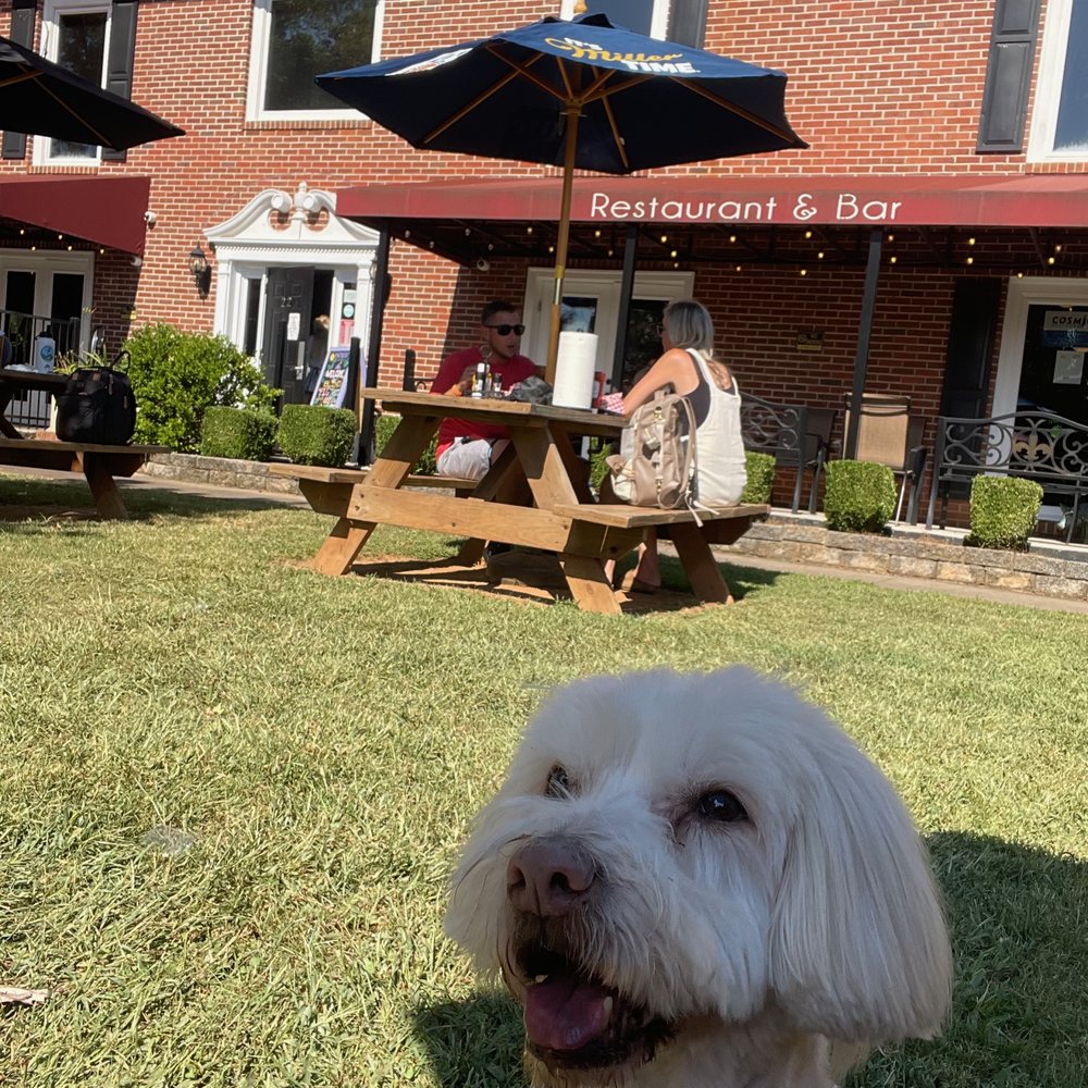 Henry enjoying himself close to the outside seating