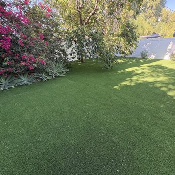 ArborCare - Spotless! - Tree Services Near Me ArborCare - Spotless! - Tree Services Near Me