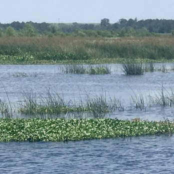 Cattail Marsh - Marsh - Hiking Near Me - Beaumont, Texas