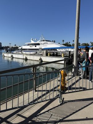 Catalina Express by null