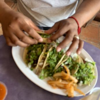 Taqueria Taco Riendo - Tacos are tiny - Mexican Near Me - Apopka, Florida Taqueria Taco Riendo - Tacos are tiny - Mexican Near Me - Apopka, Florida