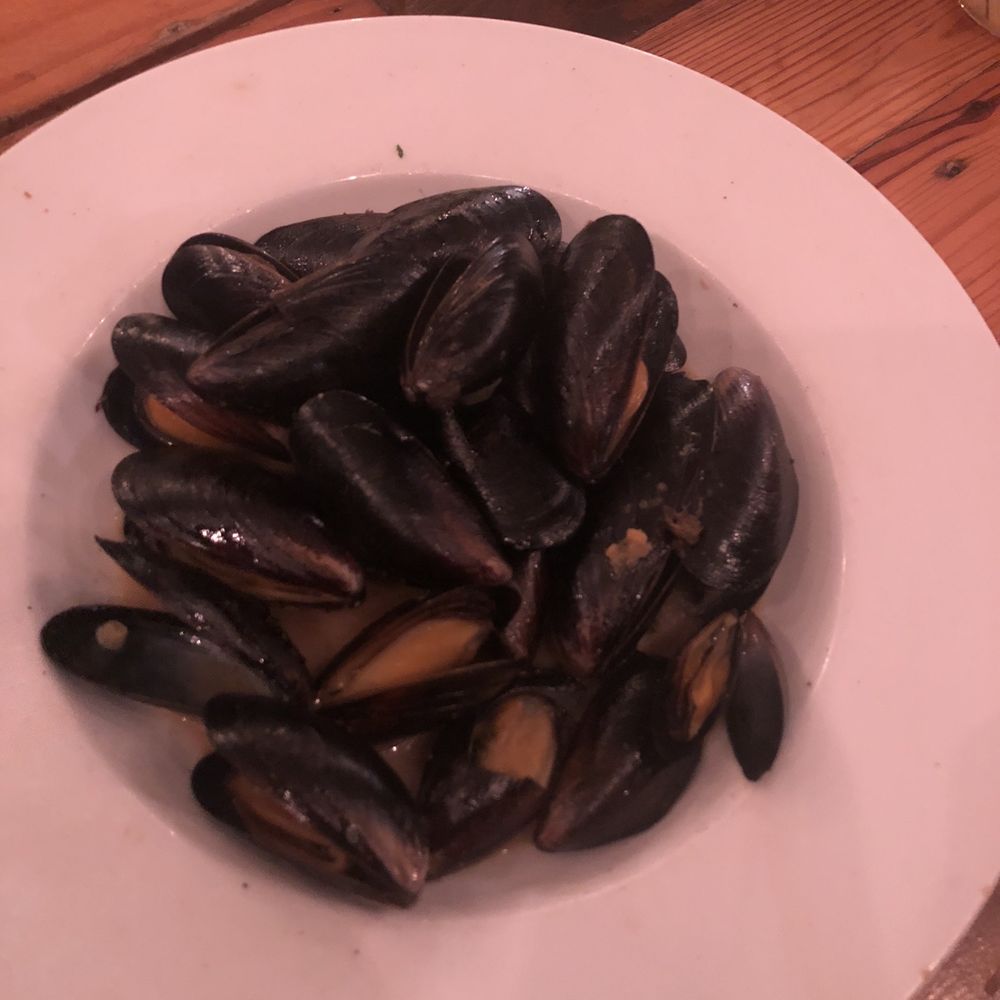 Mussels Mussels
