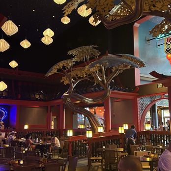 The Blue Dragon - Pan Asian Near Me - Orlando, Florida The Blue Dragon - Pan Asian Near Me - Orlando, Florida