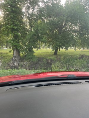English Landing Park by null