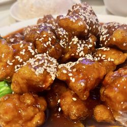 China Cuisine - Sesame Chicken 0135 K