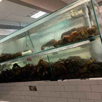 Nick's Lobster House - Tanks with live lobsters at the entrance - Seafood Near Me - Brooklyn, New York Nick's Lobster House - Tanks with live lobsters at the entrance - Seafood Near Me - Brooklyn, New York