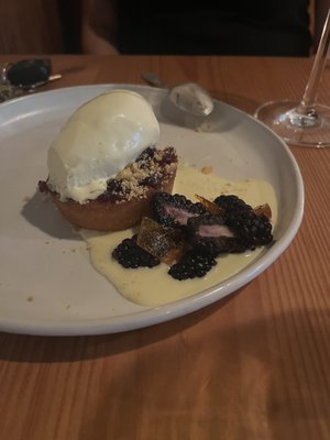 Seabird by null Seabird by null