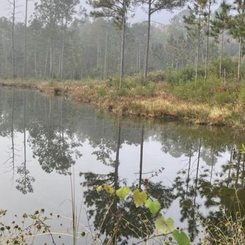 Highland RV Campground - The bottom pond - Campgrounds Near Me - Crestview, Florida Highland RV Campground - The bottom pond - Campgrounds Near Me - Crestview, Florida