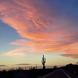 Sonoran Preserve