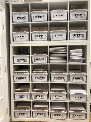 The Color House New York by null