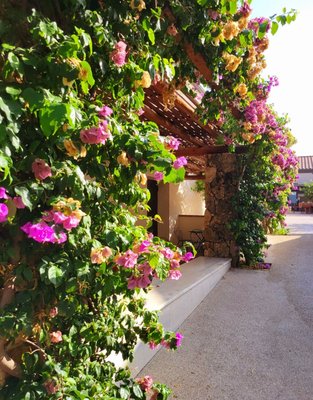 Tenuta Vannulo by null