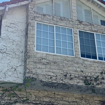 Top Notch Tree Care - Our house after vine removal for which we paid $1400 - Landscaping Near Me - Simi Valley, California