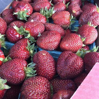 Yakima Fruit Market & Nursery - Local strawberries $17.99/flat Dark, sweet & delicious! - Fruits & Veggies Near Me - Bothell, Washington Yakima Fruit Market & Nursery - Local strawberries $17.99/flat Dark, sweet & delicious! - Fruits & Veggies Near Me - Bothell, Washington