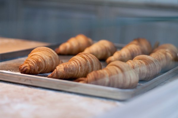 Mother Dough Bakery by null
