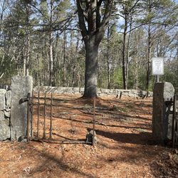Black Farm Wildlife Management Area - A stately white pine oversees historical cemetery No. 40.