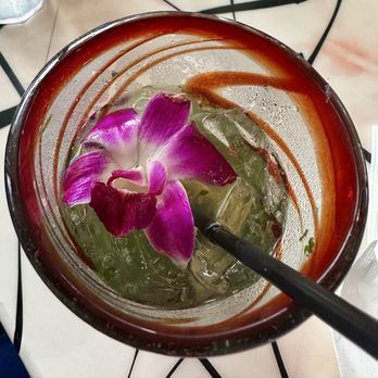Plaza Tapatia - Mojito - Mexican Near Me - Lutz, Florida Plaza Tapatia - Mojito - Mexican Near Me - Lutz, Florida