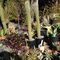 Green Jeans Garden Supply