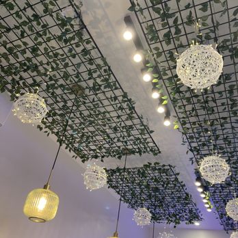 La Tasse Joyeuse - Love this ceiling! - Coffee & Tea Near Me - Montreal, Quebec La Tasse Joyeuse - Love this ceiling! - Coffee & Tea Near Me - Montreal, Quebec